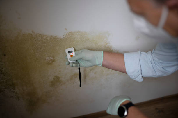 Best HVAC Mold Remediation in Glasgow, DE